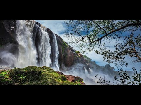 Видео: Athirappilly Falls в Керала: Пълното ръководство