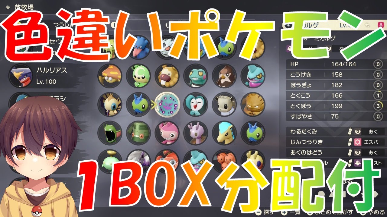 特別企画 色違いポケモン1box分配付します レジェンズアルセウス Youtube