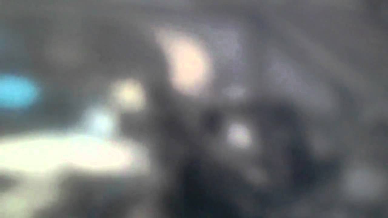 dissed dr grusigi Zombie Mode Cod black ops lvl 36..alive