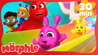 Introducing! Baby Morphles!!  | NEW Morphle 3D Kids Cartoons | Moonbug Kids After School