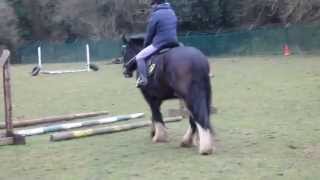 Recent Jumping Raws