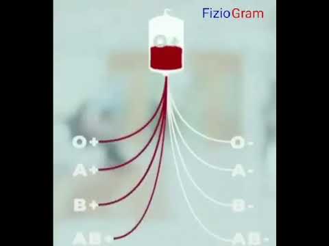 Video: Çfarë është një nëngrup i një grupi?