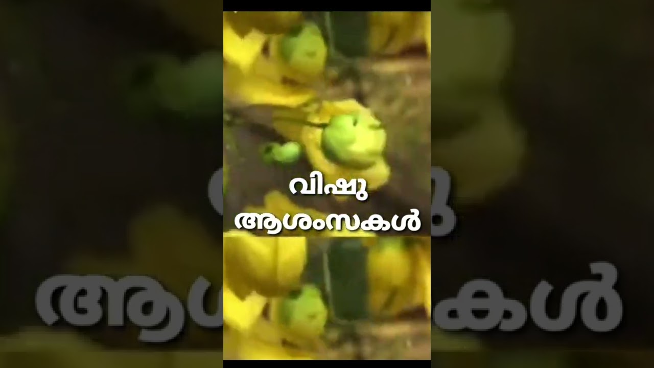 Vishu WhatsApp status 2022 | Vishu Status Malayalam | Happy Vishu 2022 | Vishuashamsakal |Vishu Song