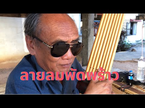พ่อสมบัติ สิมหล้า สาธิต เดี่ยวแคนลายลมพัดพร้าวและลายแมงภู่ตอมดอกไม้