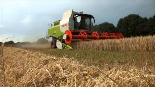 Moisson d'orge 2014
