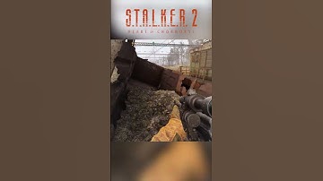 😱 Stalker 2 Developers Didn’t Expect Players To Be This Smart #stalker2