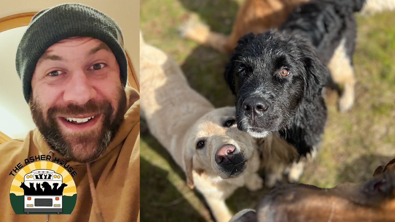 How I Start My Day At The Sanctuary The Asher House YouTube how-i-start-my-day-at-the-sanctuary-the-asher-house-youtube