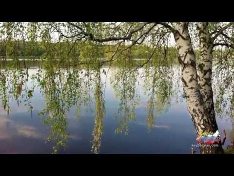 С.Есенин - Зелёная прическа С.Есенин - Зелёная прическа
