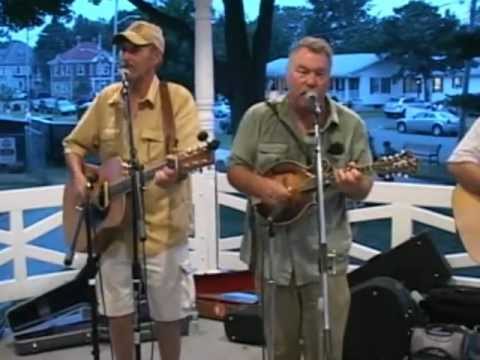 Call Me if You Need a Fool - Wildcat Bogstompers