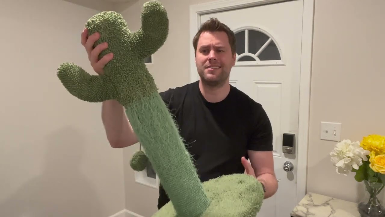 Review of the PetnPurr Cactus Cat Scratcher