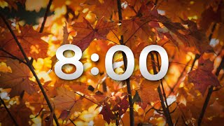 Celebrity FALL 8 MIN TIMER Profile