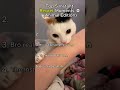 Top 5 Animal Instant Regret Moments 💀😂