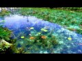 Monet's Pond, Seki City, Japan.
