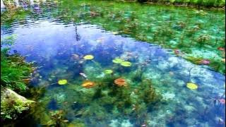 Monet's Pond, Seki City, Japan.