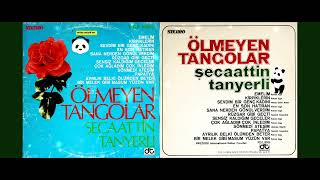 Şecaattin Tanyerli - Sana Nerden Gönül Verdim (Original Lp Song Analog Remastered 1974) 4K