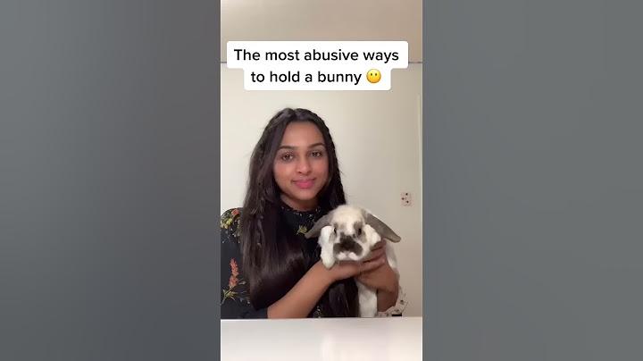 Most abusive ways to hold a bunny…