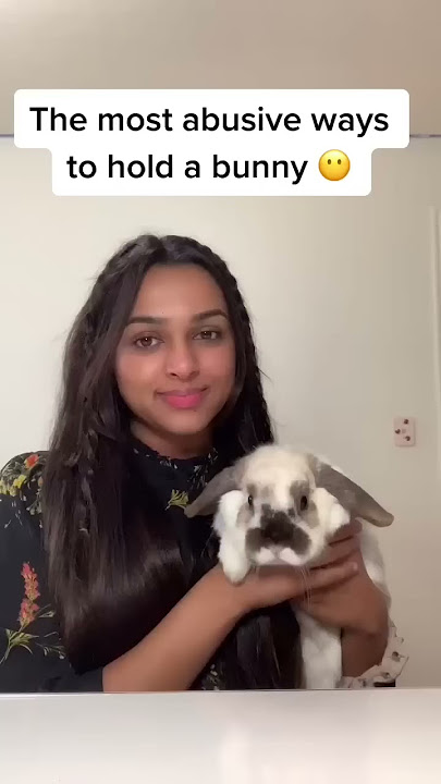 Most abusive ways to hold a bunny…