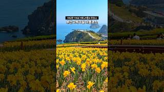 계획짜지마❌ 부산 2박3일 여행코스 정해줌🇰🇷#travelvlog #부산 #부산여행 #여행유튜버 #오륙도 #광안리 #부산브이로그 #여행브이로그 #busan #부산맛집 #국내여행