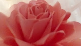 More Paper Roses