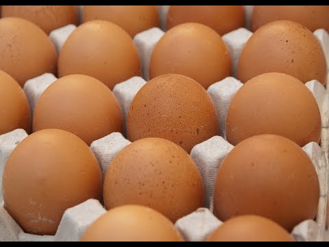 Bene i consumi di uova Made in Cuneo nel 2020