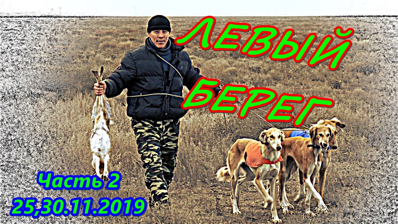 Лексус левый берег
