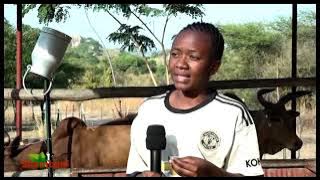 #TBCShambani: Ufugaji Wa  Ng'ombe wa  Kisasa wa Maziwa.