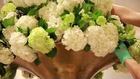 Kimberly Cary Events