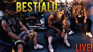 🔴LIVE🔴GTA Real Life FplayT⭐Bem cafeluta + Felicitam noile NEOFICIALE + Discutam de Task Oficiale ! ⭐