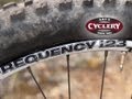 Review: WTB Frequency TCS i23 Rims and WTB Stryker AM TCS Race Wheels
