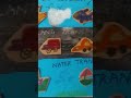 Types of transport- School project for kids-Social studies#project#social#school_project#projectidea