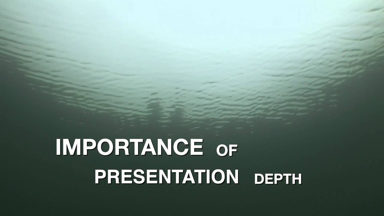 Strike King KVD Jerkbait - Hook n' Look Splash #28