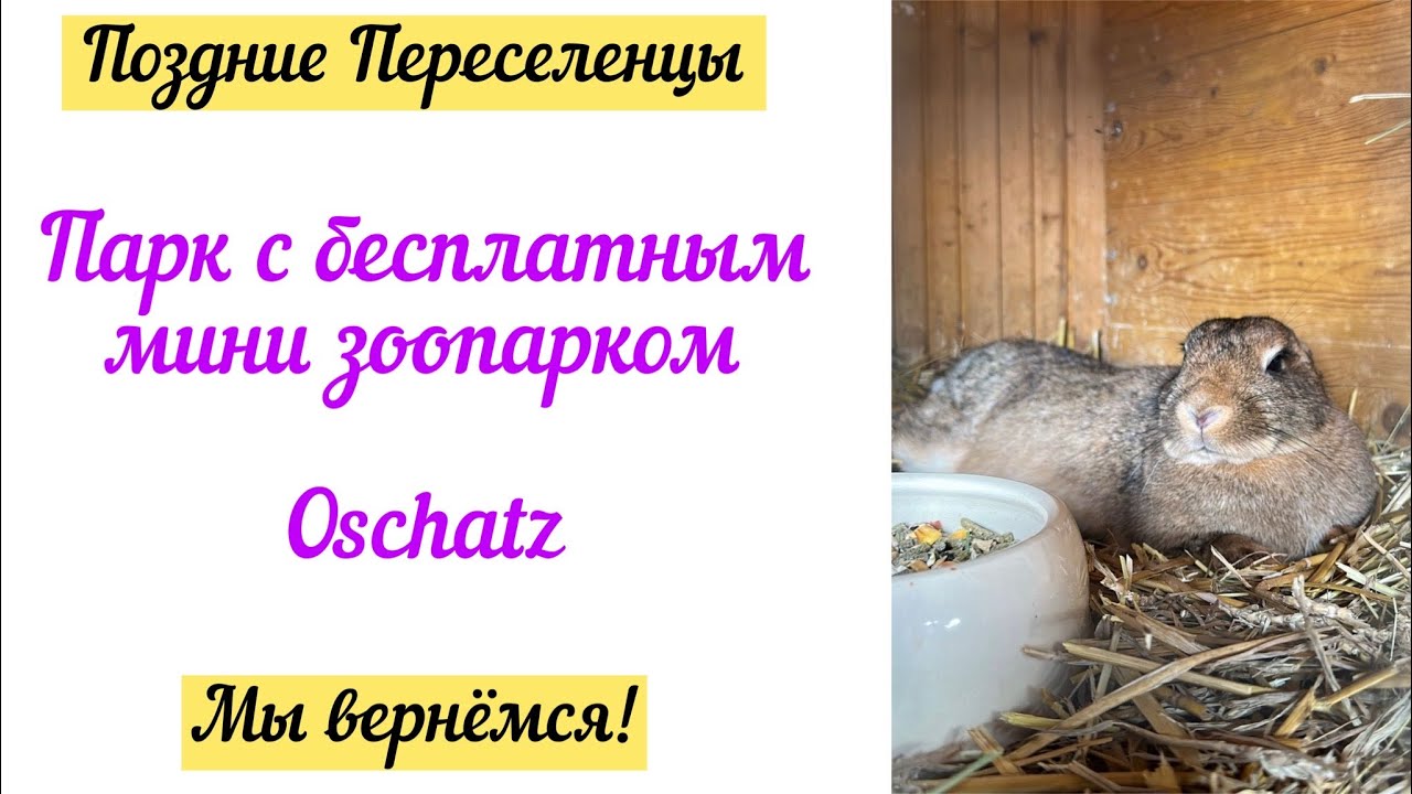 Городской парк города Oschatz с мини зоопарком. Бесплатный вход. Отличное место для прогулки.