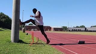 Hurdle Training - Drilling the mini hurdles (Lead/Trail/Over the Top)