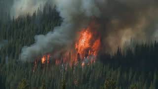 Silverado fire: Wildfire Forces up to 70,000 to Evacuate