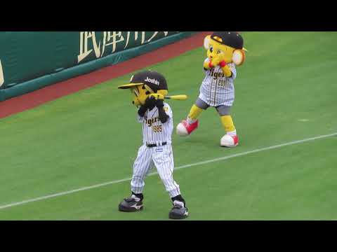 阪神タイガース　スタメン発表（トラッキーものまね）　＠甲子園　20190519