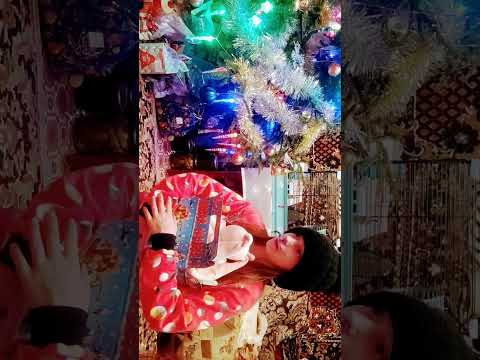 новогодние подарки для брата и сестры