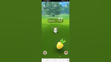me as popular pokemon go finding and catch shiny eevee part 1