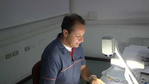 Complex Analysis - Fabio Vlacci - Lecture 05