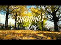 VLOG｜紅葉狩り｜花より団子｜たこ焼きパーティー｜新年の準備