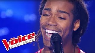 Adele - Someone Like You Jua Amir The Voice France 2012 Blind Audition