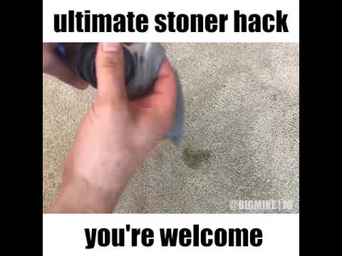 THE ULTIMATE STONER HACK PICKING UP WEED FRM CARPET