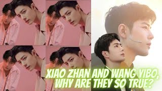 Xiao Zhan and Wang Yibo, why are they so true?