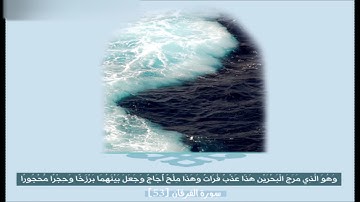 إدريس أبكر - سورة الفرقان [ 43 - 55 ]