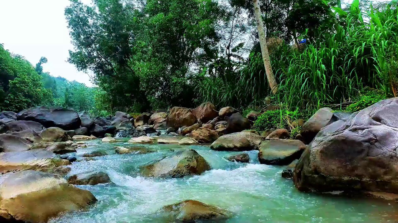 12 Hours of Peaceful River Flowing Water – Natural Ambience