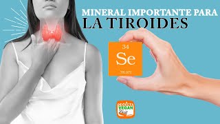 Este mineral es importantísimo para la TIROIDES. by Cocina Vegan fácil 4,193 views 2 months ago 10 minutes, 26 seconds