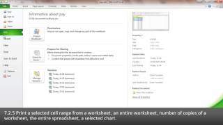 ECDL EXCEL2010 725