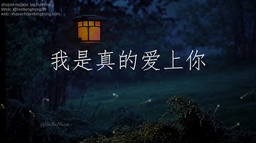 [Vietsub] Anh Thật Sự Đã Yêu Em Rồi 《我是真的爱上你》 半吨兄弟