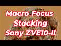 Macro Focus Stacking, Chụp ảnh Macro bằng Sony ZVE10-II (ZVE10M2) và  Lens Macro FE 2.8/50 Macro
