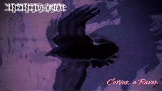 INFINITUM MORTEM - Corvus, a Raven (Official Audio/Visualclip)