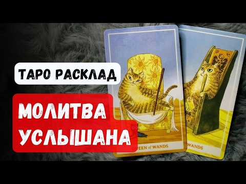 Your Prayer Has Been Heard! What Answer Does the Universe Have for You? 🙏 | Tarot Reading